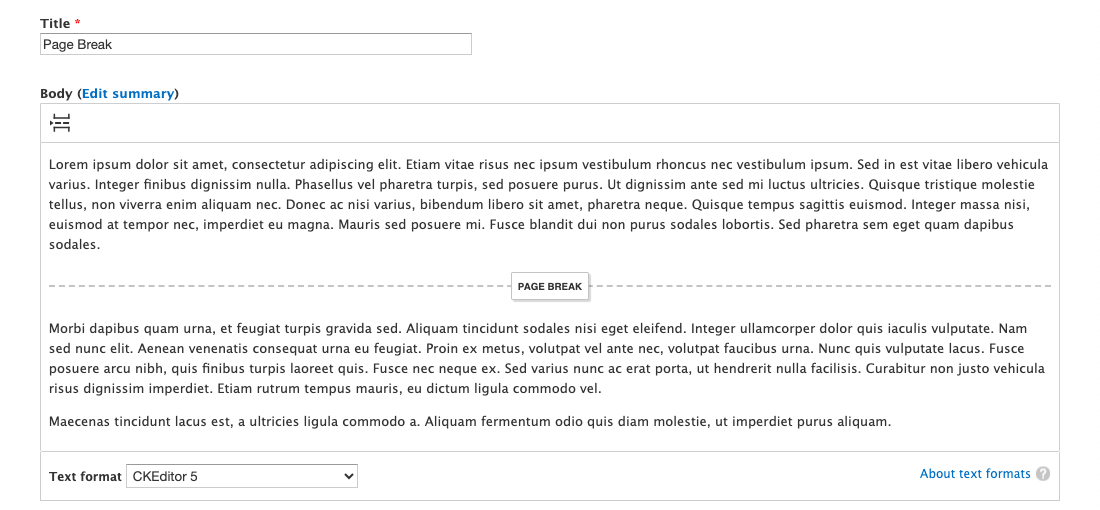 Inserting a page break between two text blocks using the Page Break plugin.