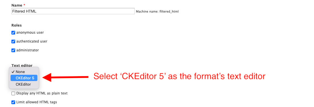 Select CKEditor 5 as the format's text editor.